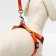 AMUNICE COMMUNICATION "DOGA", leash 120 x 1 cm, OG 27-42 cm, orange