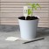 Garden signs for marking, 15 cm, with a pencil, set 20 pcs., Plastic