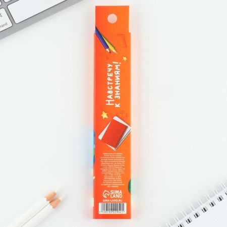 PET WRITE ARREND on graduation 9 rods "Graduate" Blue pasta, gel 0.5 mm set-5