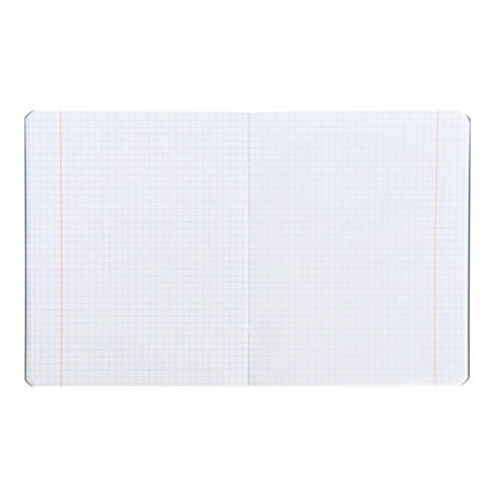 Subject notebook monocolor.element, 48 sheets in the cell "Biology", covered cardboard, lamination of software vag, selective varnish, offset block 70 g/m2-3