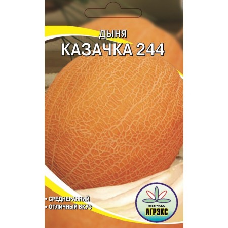 Seeds of melon "Cossack 244", 10 pcs