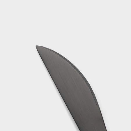 A set of stainless steel knife magistro "folk", length 22.5 cm, 6 pcs-2