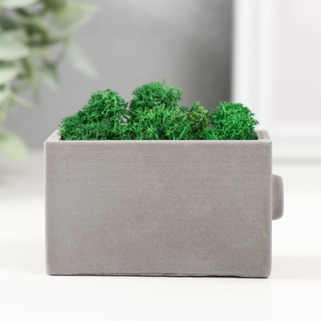 Kashpo concrete mini "Retro radio" with moss lightly gray 8x4x4.5cm (moss green stabilizer.)-3