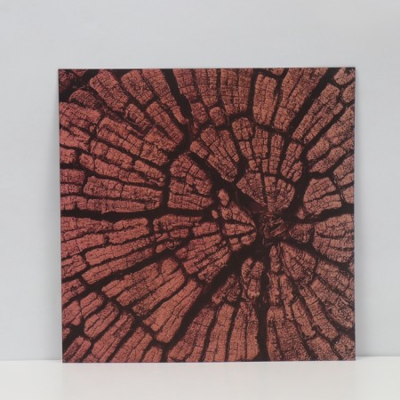 Photophone bilateral cardboard density 350 g "Tree" 50x50 cm-2