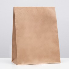 Craft package Paper Pack, rectangular bottom 26 x 15 x 34 cm
