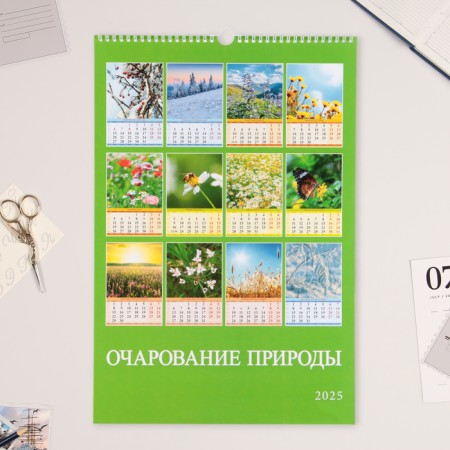 The calendar of the Overcoding on the cross "Charm of Nature" 2025, A3-2