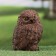 Garden figure "owl" dark, 9x9x14cm