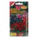 Flowers of Petunia "Cherry Night", compact, stunted, 0.05 g