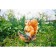 Garden figure "Squirrel with a nut on a stump" 25x12x23cm