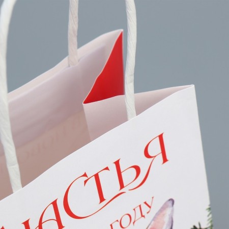 Package gift craft "Happiness", 12 x 21 x 9 cm, new year-5