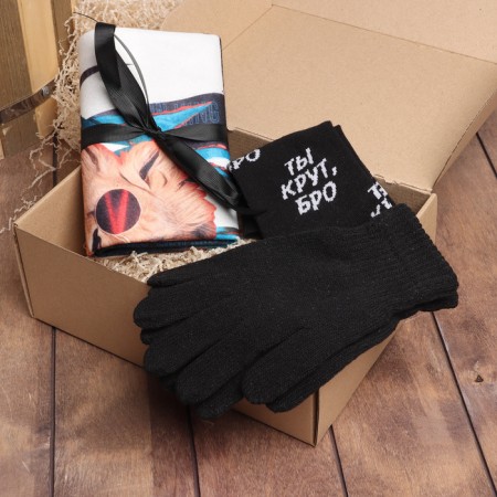 Gift set "Mr.lion" blankets, socks, gloves
