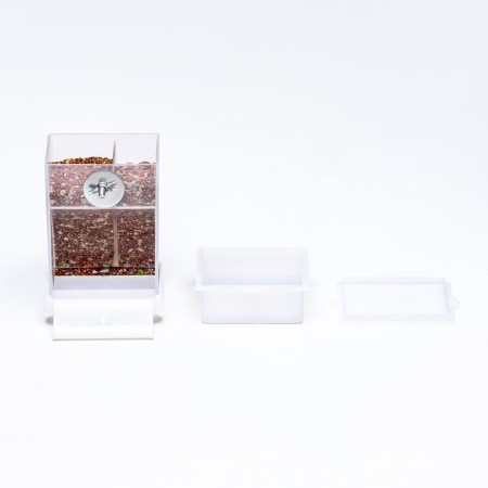Auto feeder for birds 8.5 x 8 x 15.4 cm-6