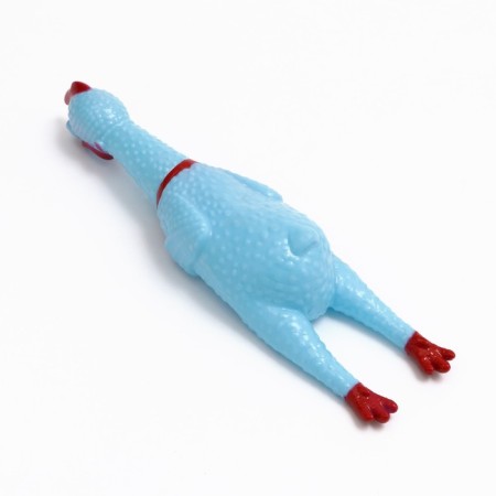 The squeak of "thoughtful chicken" for dogs, 28 cm, blue-2