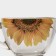 Tea pair of glass "Devil's nature. Sunflower ", 250 ml