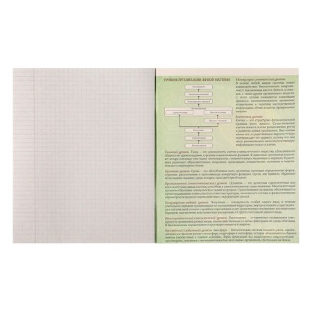 Substantial notebook Calligrata "3D", 48 sheets in a biology cage, with reference material, covered cardboard, unit No. 2, whiteness 75% (gray sheets)-2