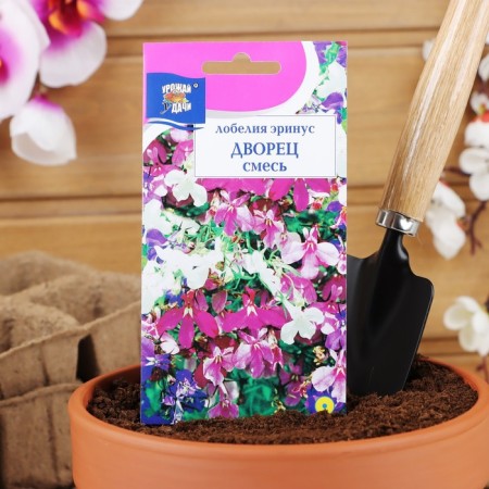 Lobelia flowers "Palace" mixture, 0.03 g-2