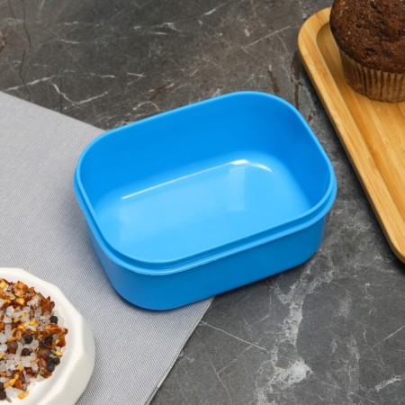 Lunch box "Bright mood", 0.5 l-2