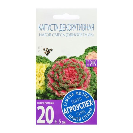 Seed of flowers cabbage decorative nagoa, o, 10 pcs-1