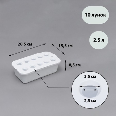 Box for growing green onions, 29 × 16 × 8.5 cm, 2.5 l, 10 holes, white, Greengo