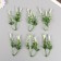 Artificial plant for creativity "Hippeastium" set of 6 pcs white-green 11.5 cm