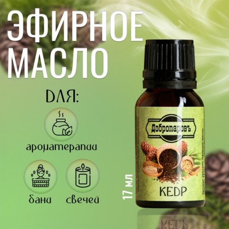 Essential oil "Cedar", a bottle-boiler, 17 ml "Dobroparov"