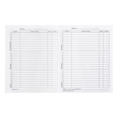 Diary for grades 5-11, 48 sheets "Humanoid", integral cover, matte lamination-5