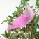 Decor on the clothespin of bird mix set 3pcs 4449370