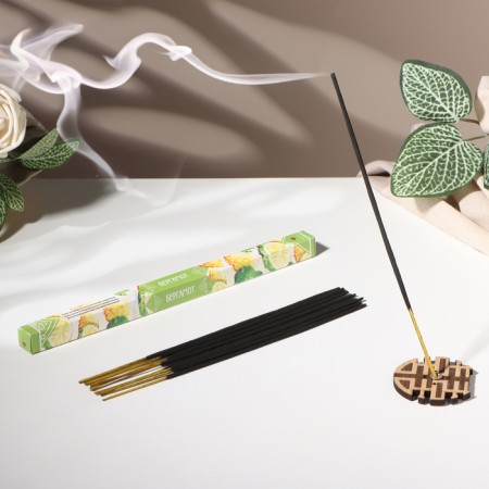 Incense "Burgot's nature breathing", 8 sticks