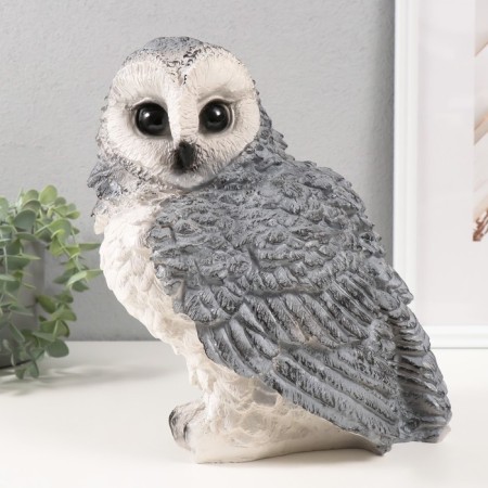 Pig a piggy bank "Big gray owl" 27x20x24 cm-1