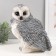 Pig a piggy bank "Big gray owl" 27x20x24 cm