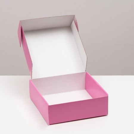 Self -charged, pink box, 23 x 23 x 8 cm-2