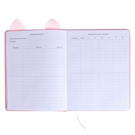 Universal diary for grade 1-11 Cat’s Eyes, hard cover, artificial leather, foam rubber, liesse, 80 g/m2-5