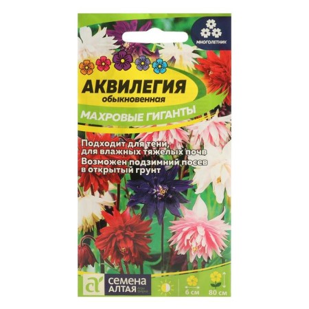 Flowers Aquilegia "Terry Giants", 0.1 g