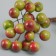 Decor for creativity "Berries" length 1.2 cm, red-green