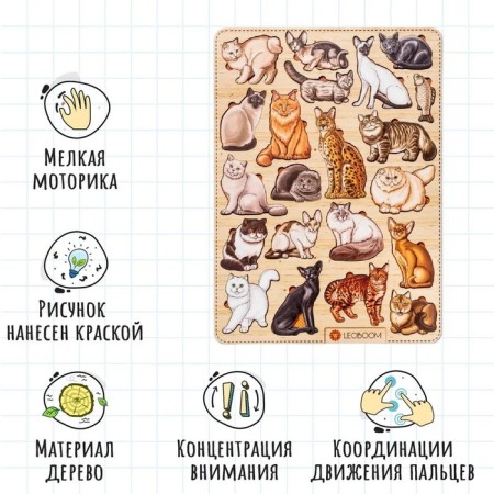 The frames of the "cats of cats"-6