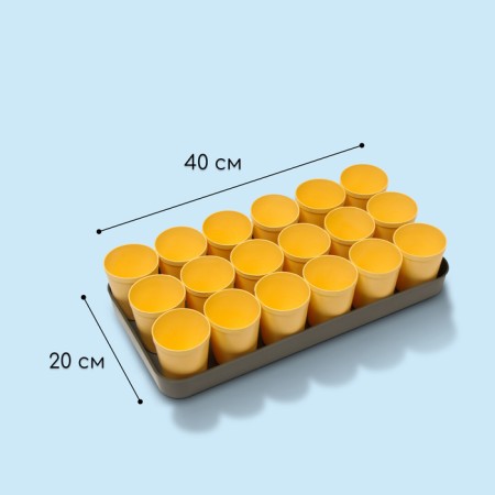 Set for seedlings: glasses of 250 ml (18 pcs), pan 40 × 20 cm, color mix, Greengo-2