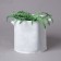 Container with handles, 31 × 29 cm, density 130 g/m², Greengo