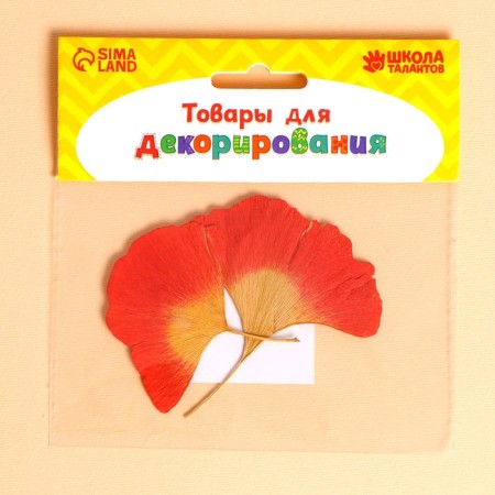 Dry leaves, set 2 pcs., Size 1 pc: 7.5 × 8 cm-2
