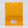 Package Hologography with a window, "Golden", S 23.5 × 18 × 8.5 cm set 1 pc.