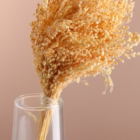 Set of dried flowers "millet", banch length 45 (+/- 6 cm), bleached-1