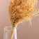 Set of dried flowers "millet", banch length 45 (+/- 6 cm), bleached