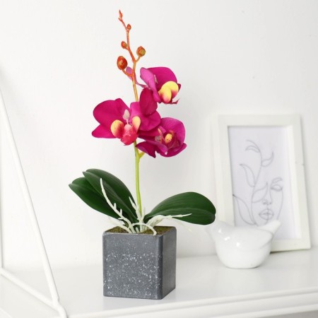 The composition in the pot "Orchid" 6x23 cm, mix