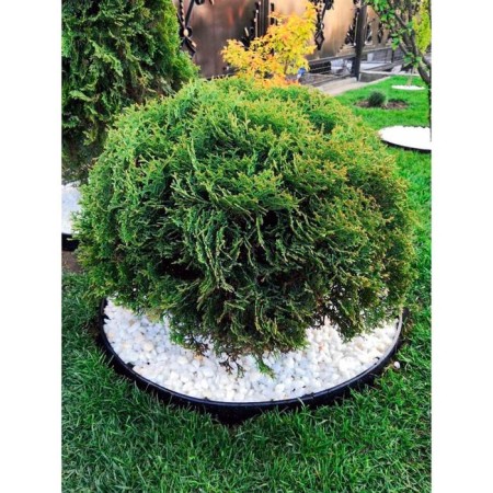 Garden plastic curb, 38 mm, brown, 10 m + 30 stakes, "mango-5