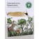 Bravissimo sand drawing table "Safari"