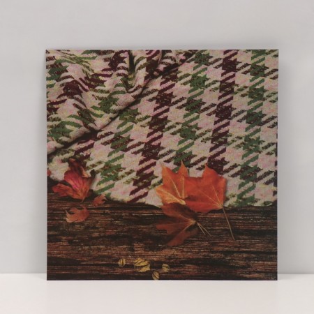 Photophone bilateral cardboard density 350 grams "Cell" 50x50 cm-2
