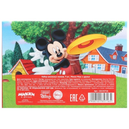 Core schools 9pcs "Mickey Mouse and Friends", rectangular-6