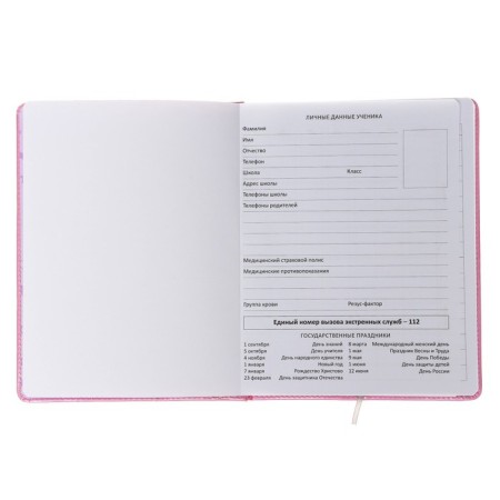Universal diary for grade 1-11 LOVEBIRDS, hard cover, artificial leather, foam rubber, lies, 80 g/m2-3