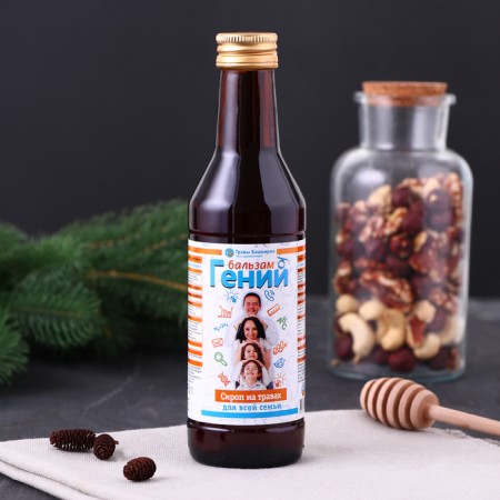 Syrup on plant raw materials "Balm Genius", 240 ml-1