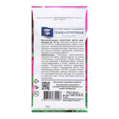 Petunia flowers "dark purple", 0.01 g in amp.-1