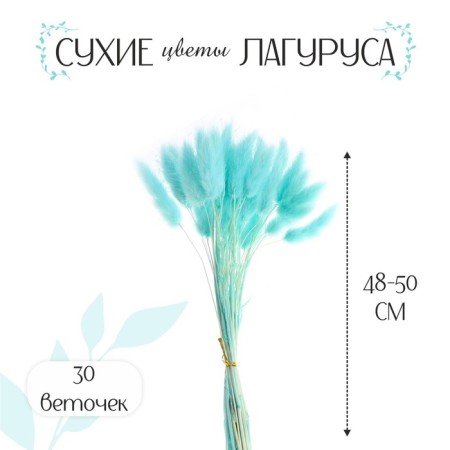 Sukhotzet "Lagurus", set of 30 pcs., Blue color-1